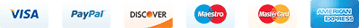 Logo de payement
